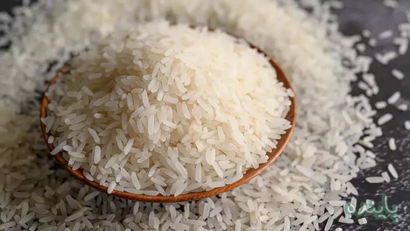 خرید برنج کامفیروزی + فروش استثنایی